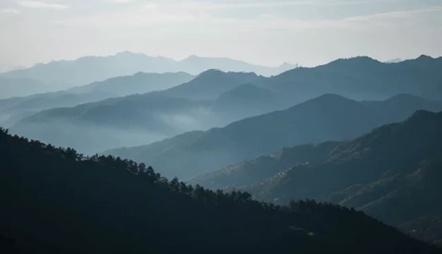 两种问题处理方式对比：业务流程优化与成本控制的取舍